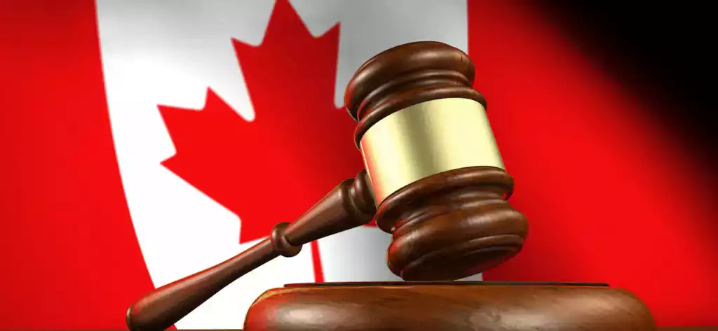 Lawyer Advises Improved Environmental Laws