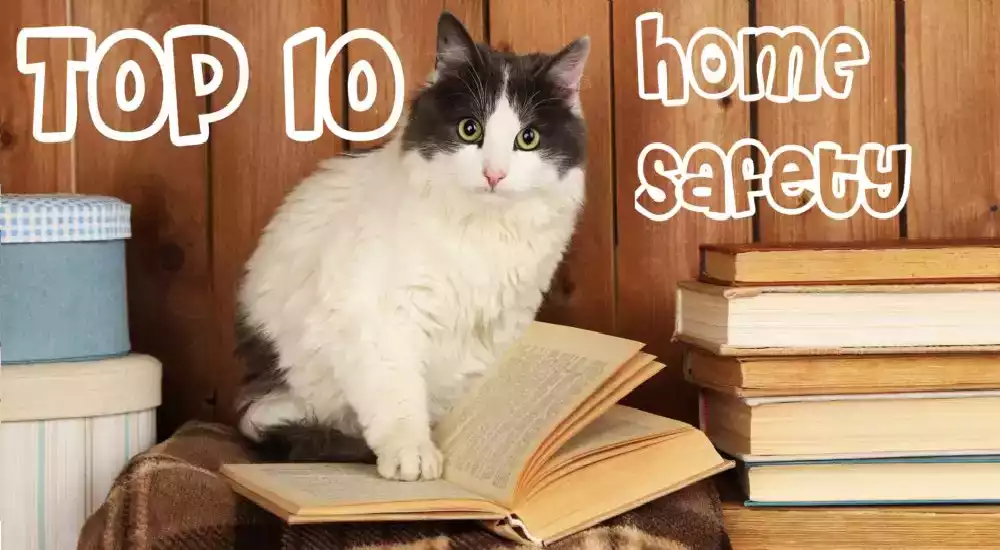 Secure Your Home: Top 10 Surprising Ways