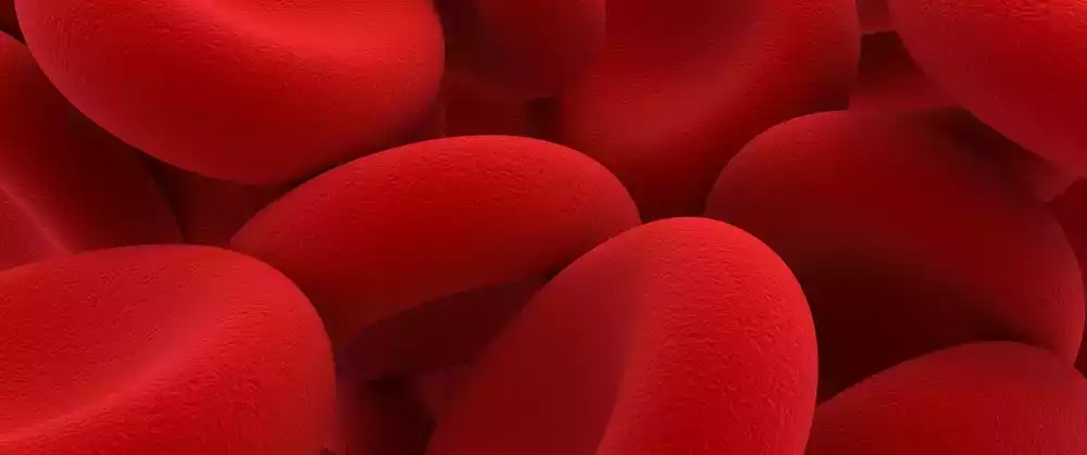 red-blood-cells