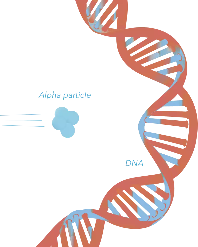 DNA alpha particle collision