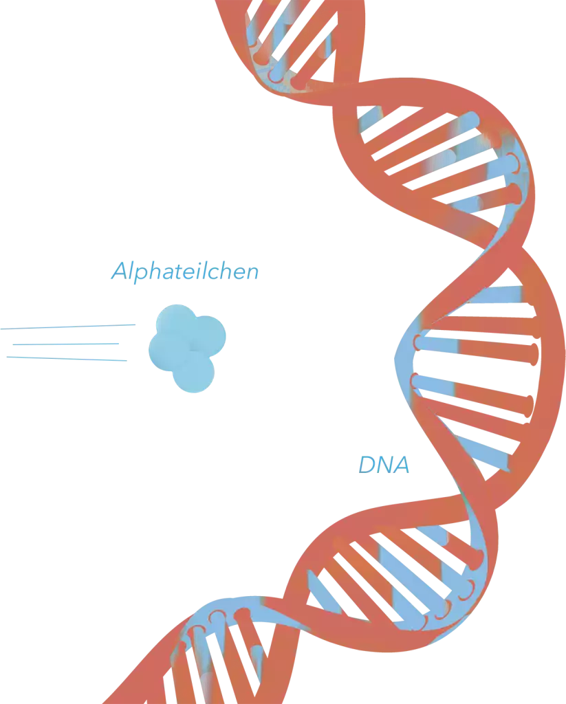 DNA, radon und alphateilchen