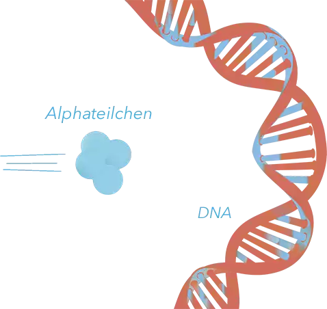 DNA, radon und alphateilchen mobile